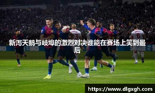 新泻天鹅与岐埠的激烈对决谁能在赛场上笑到最后